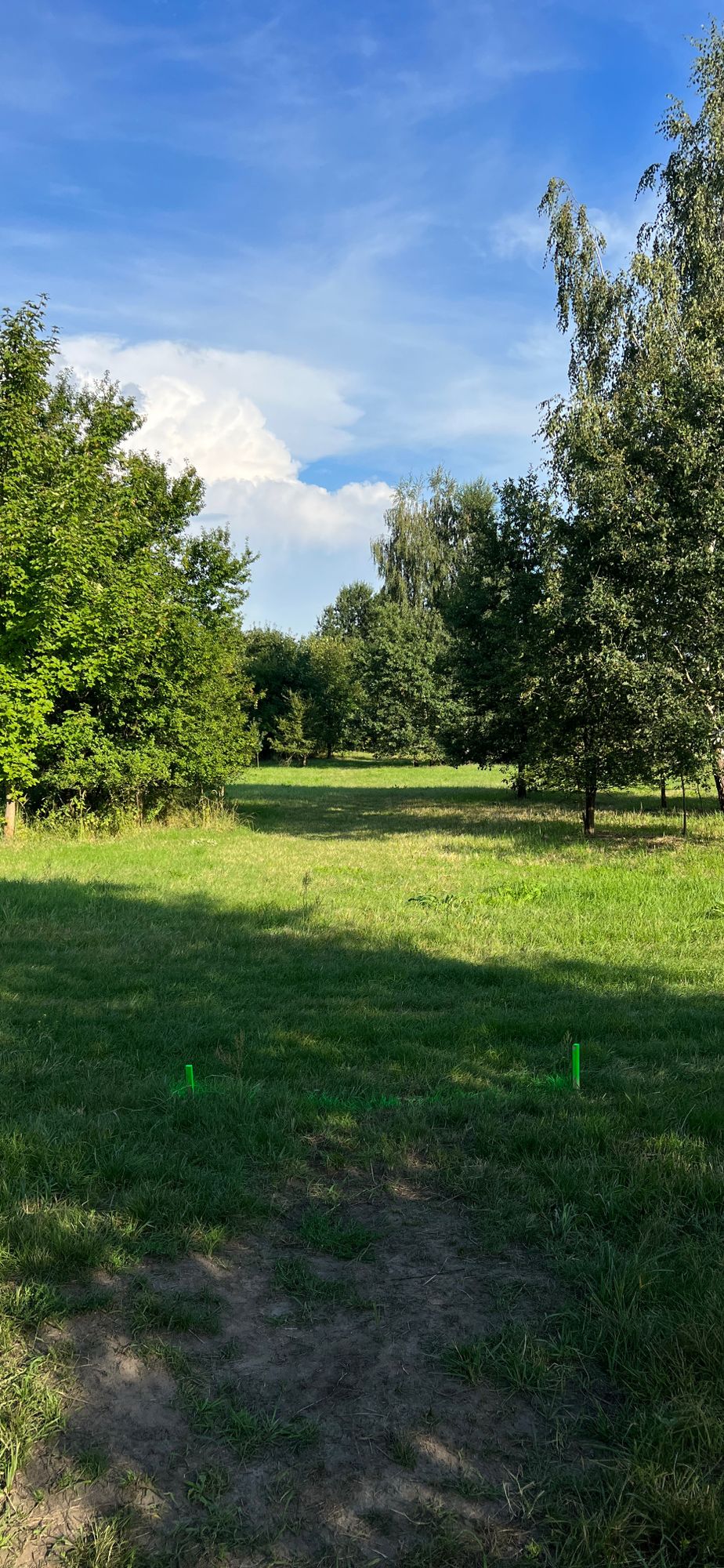 Ter #6 - Par3