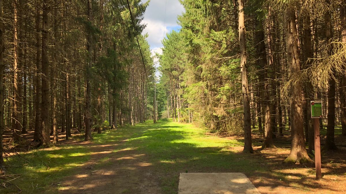 Hole 5 par 4 that’s averaging a 5.1. A 3 feels great.