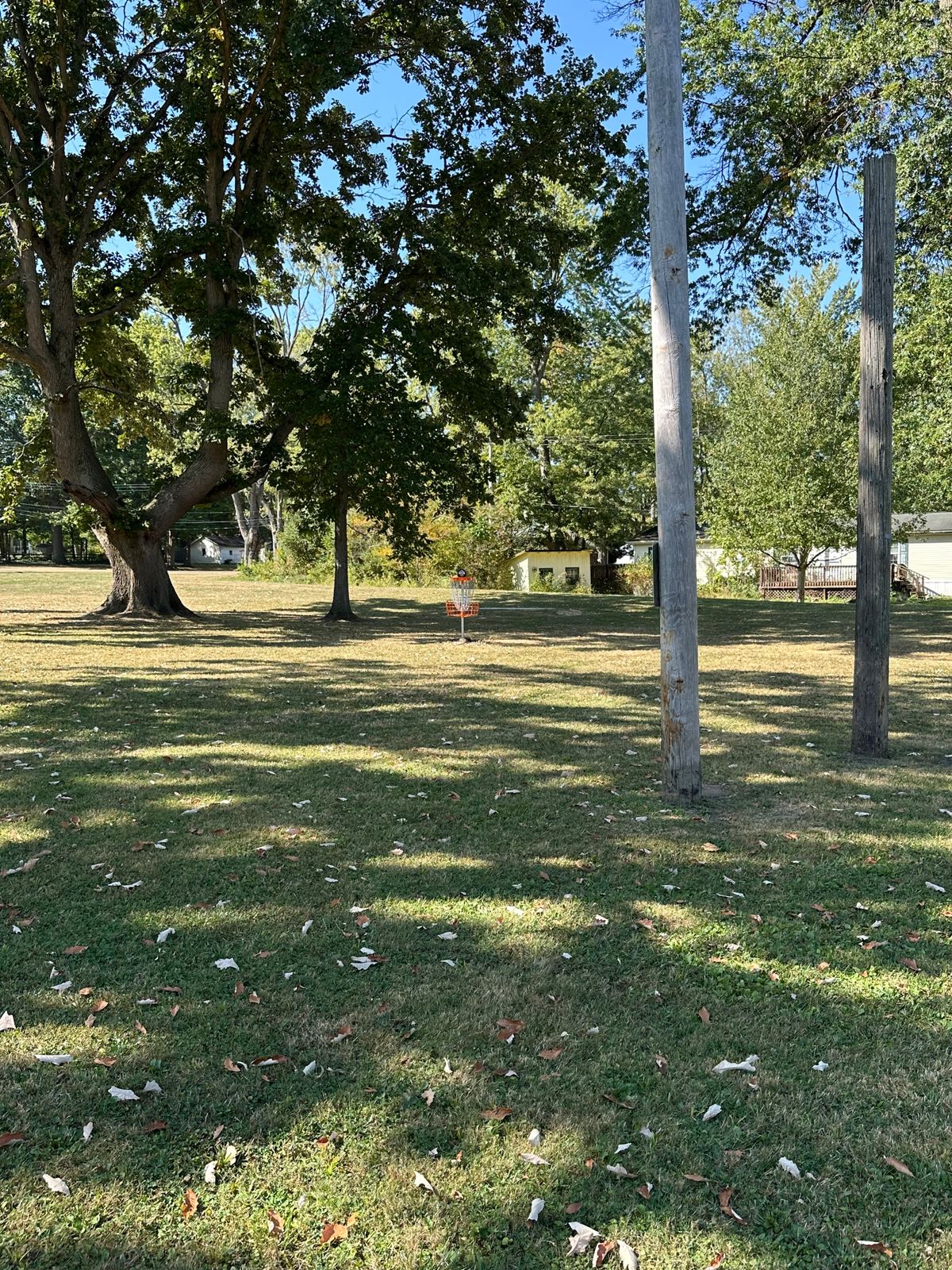 Hole 5 Basket