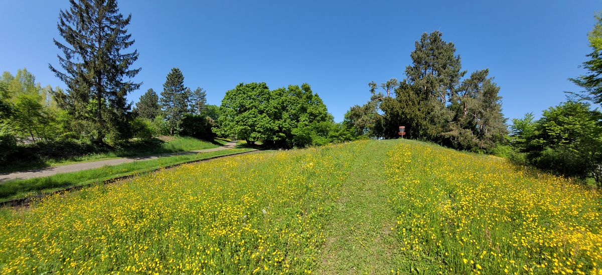 Hole 10 green from backside