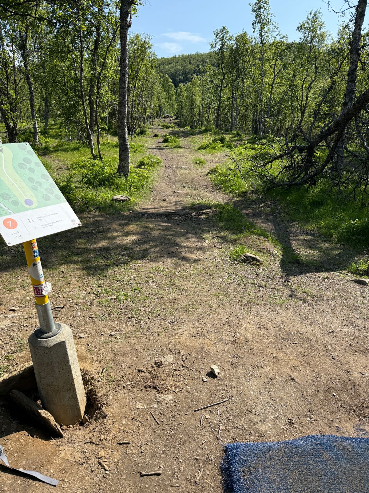 Hole 7 tee