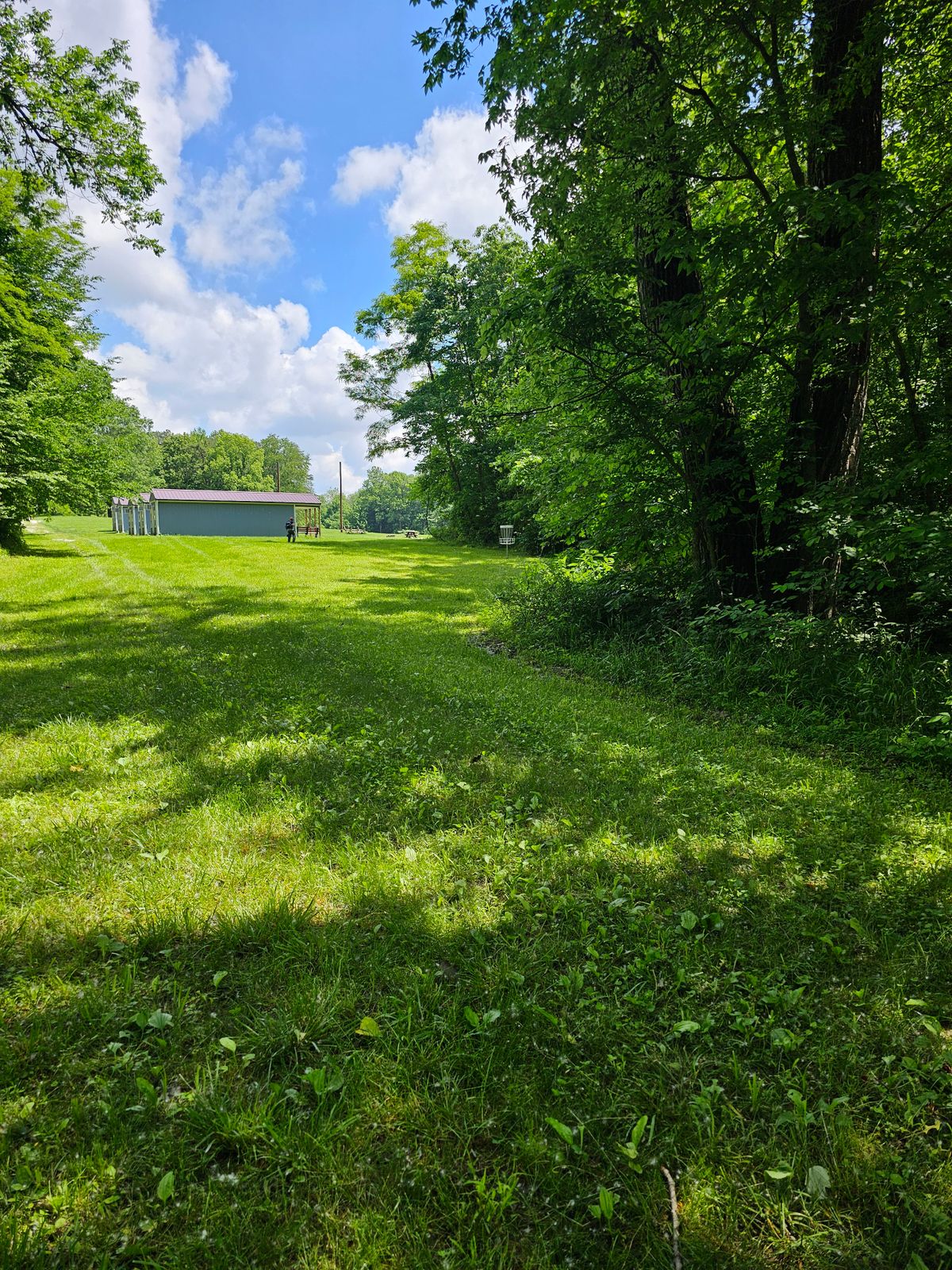 Hole 17 basket