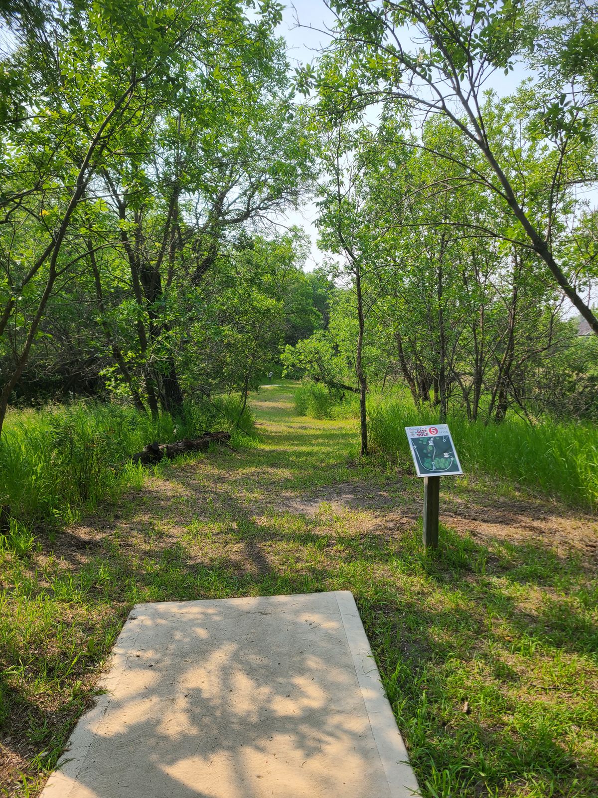 Hole 5