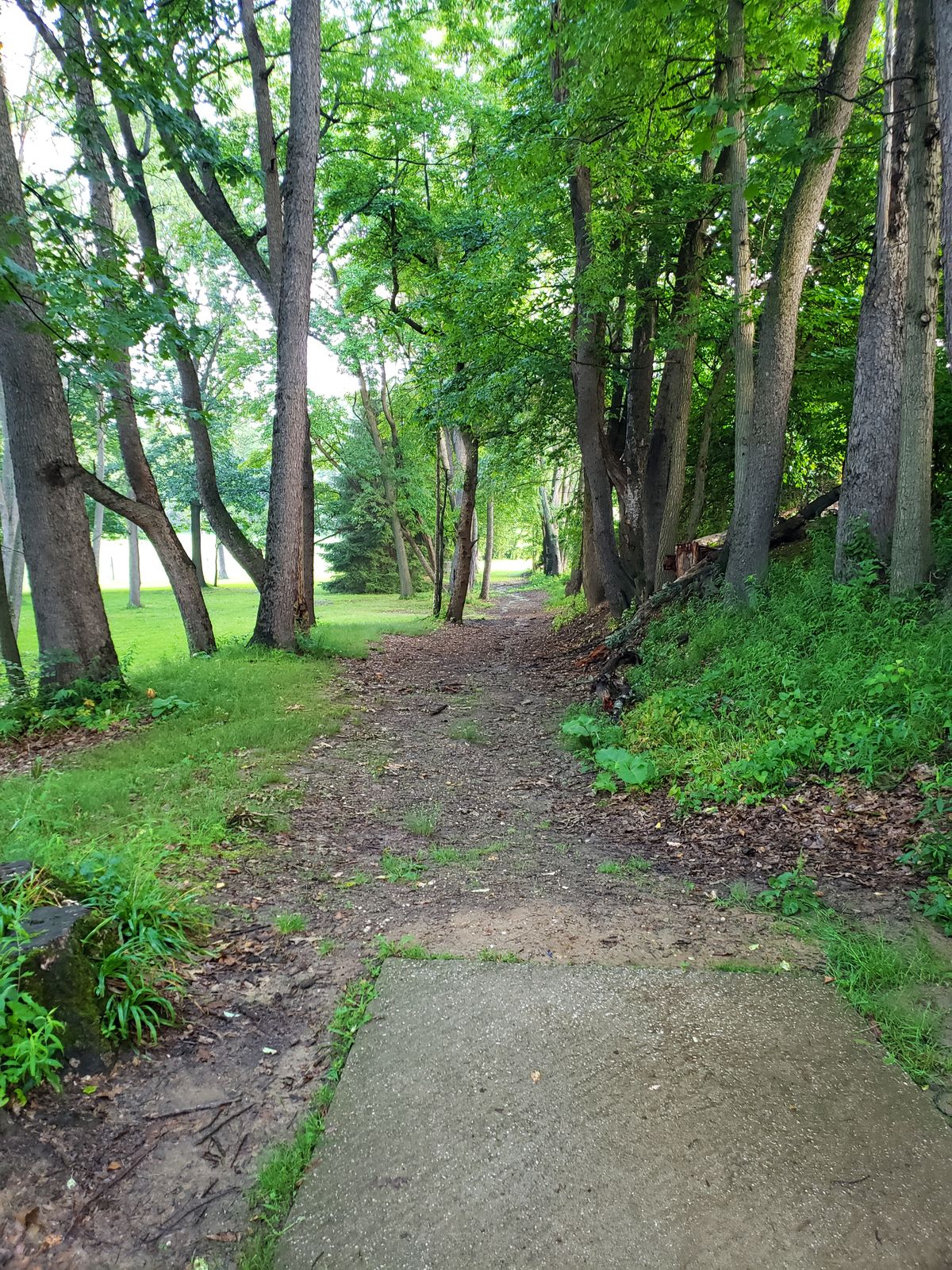 Hole 10 short teepad