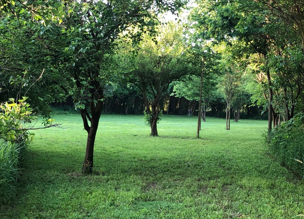 Hole 11 2020