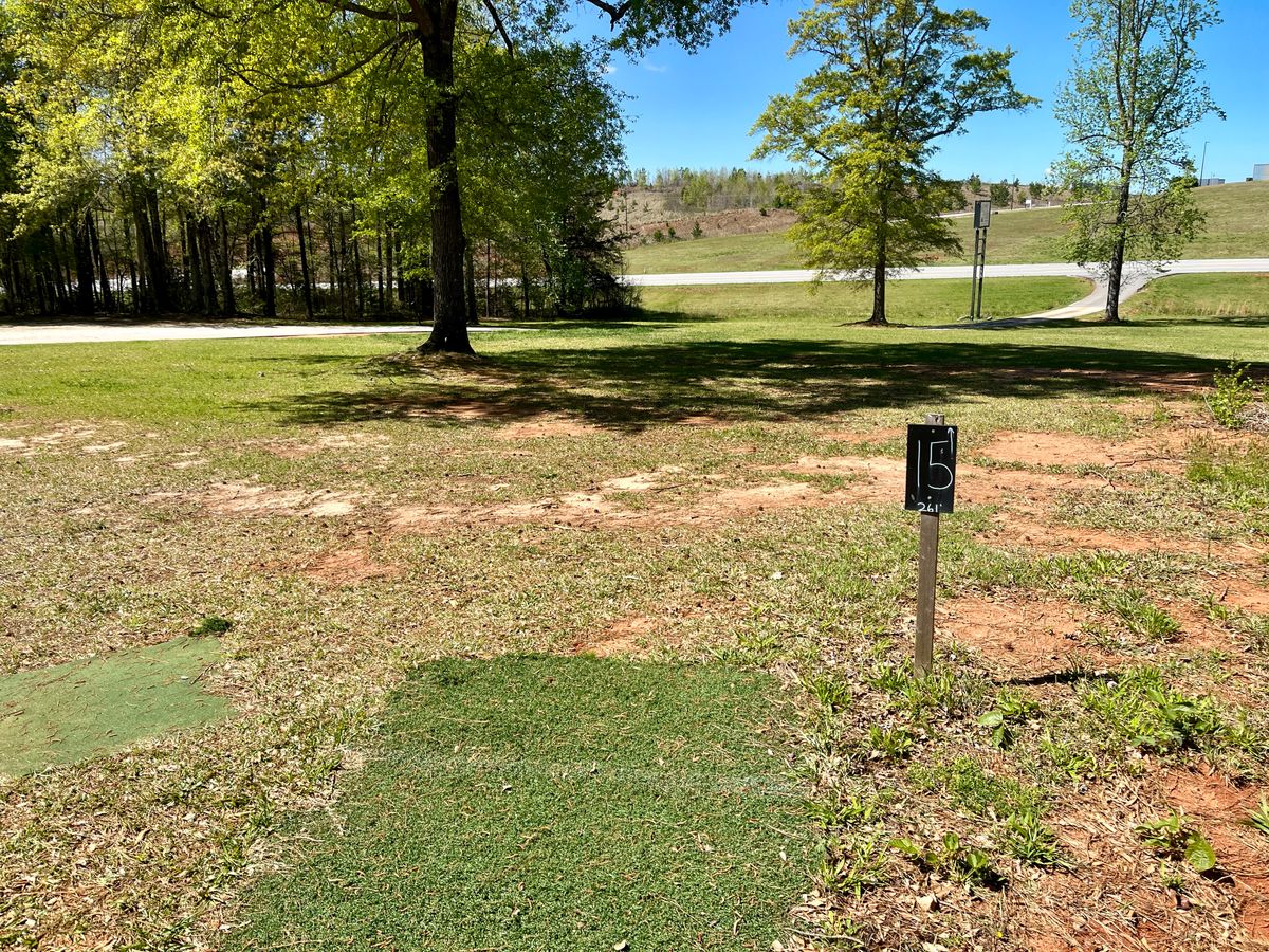 Hole 15 tee