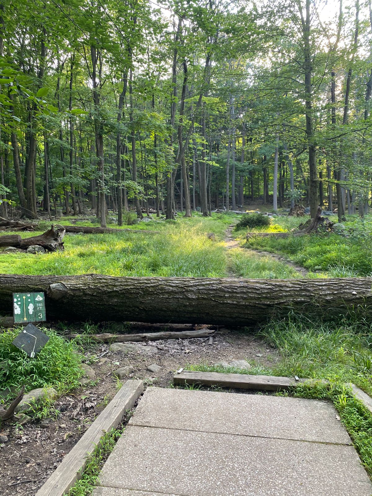 hole 3