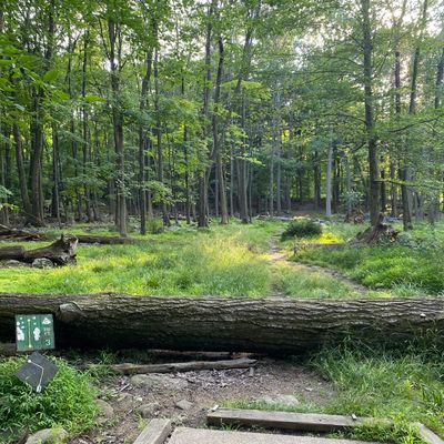 hole 3