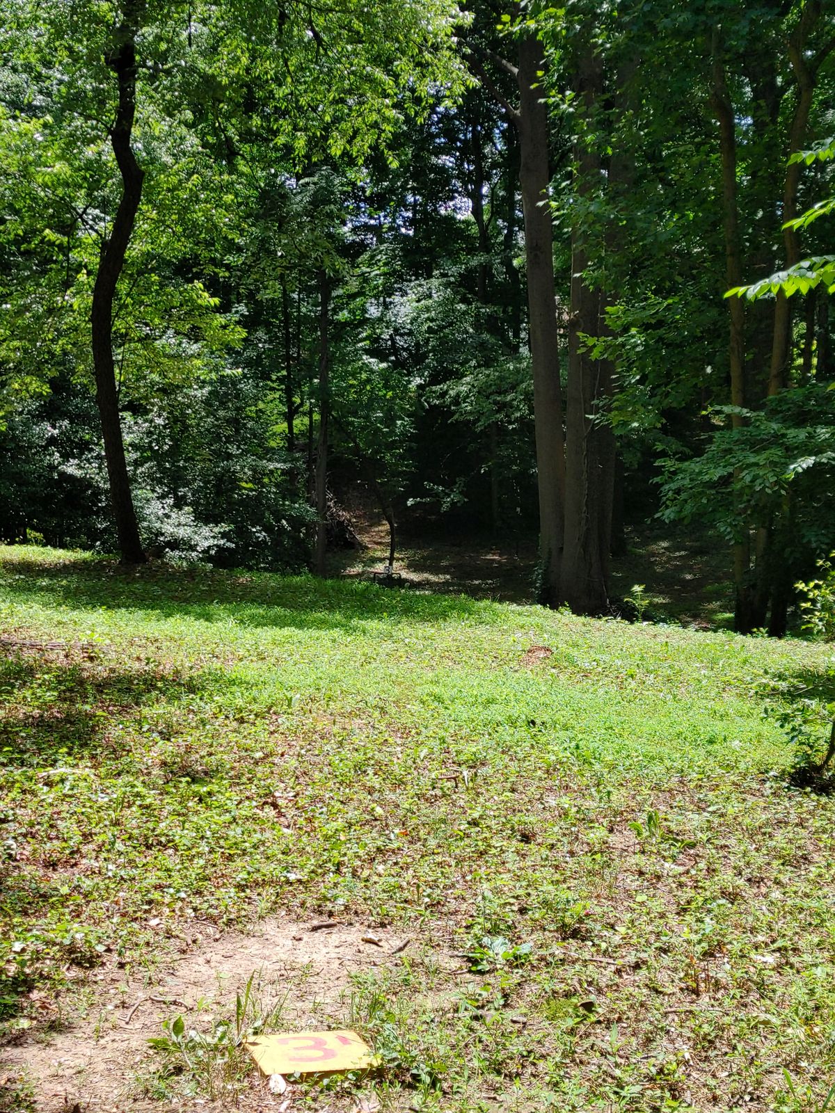 Third tee