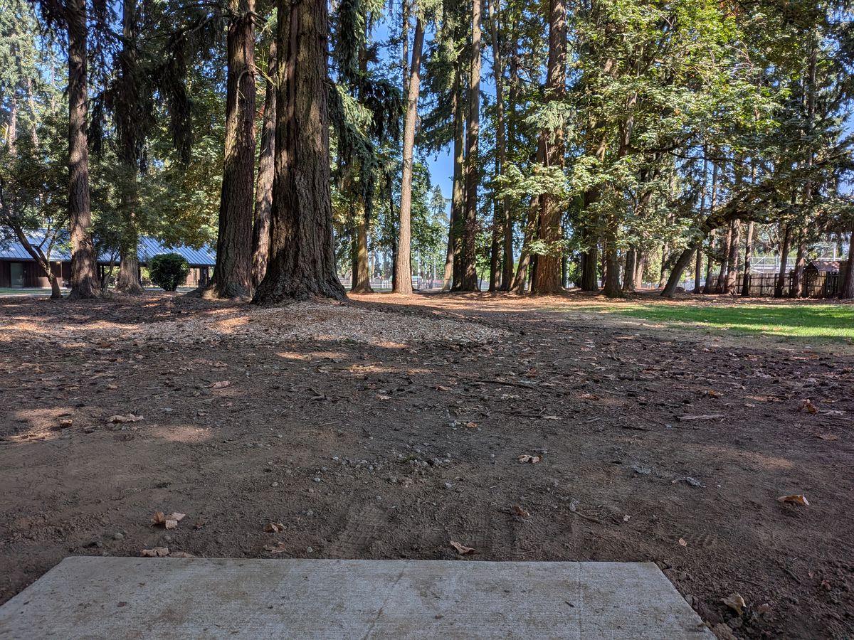Hole 9