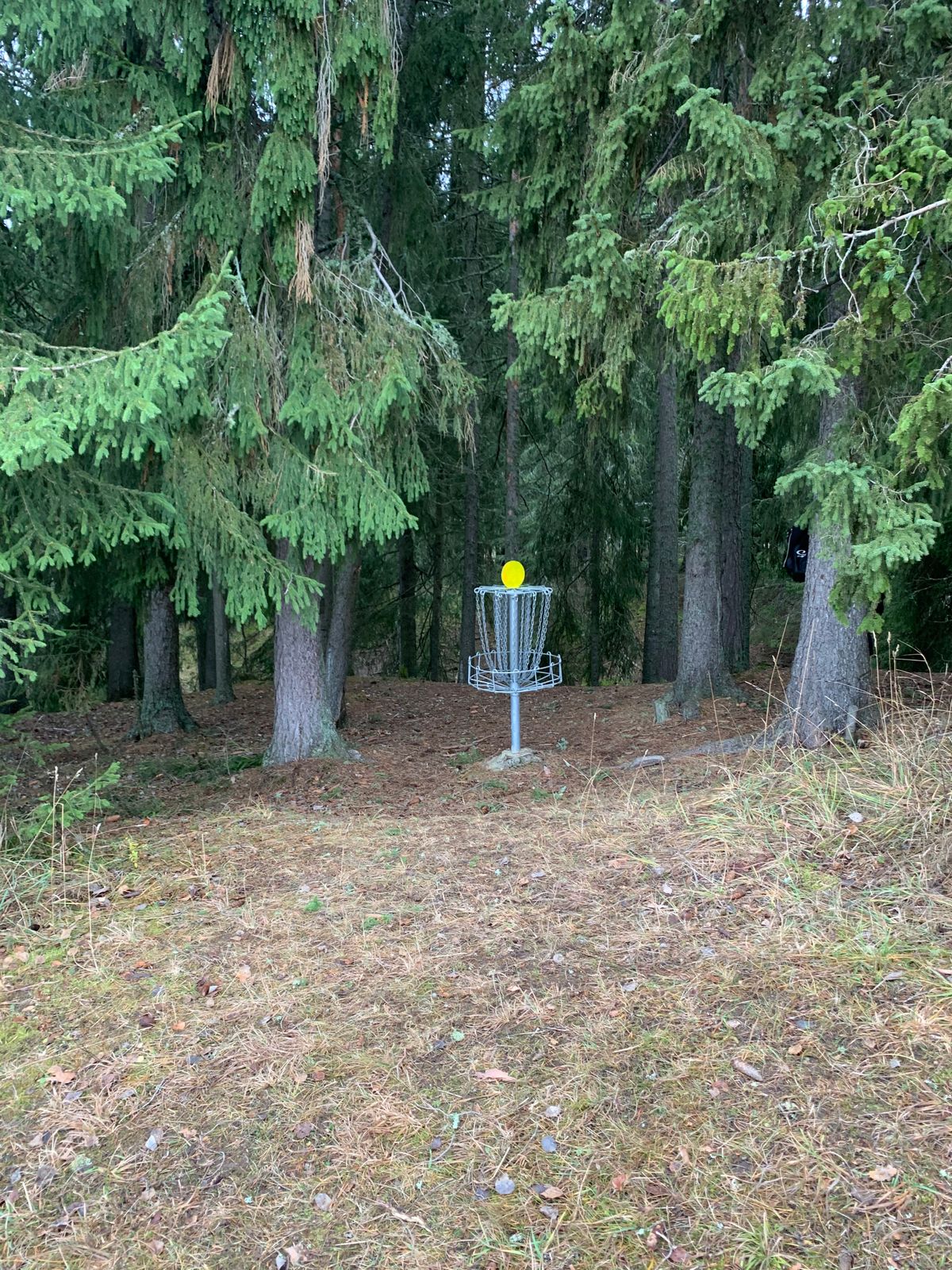 Hål 3s korg