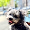 User avatar image