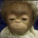 User avatar image