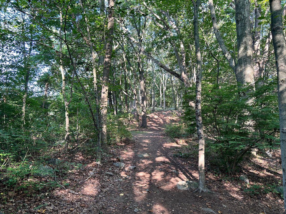 Hole 11