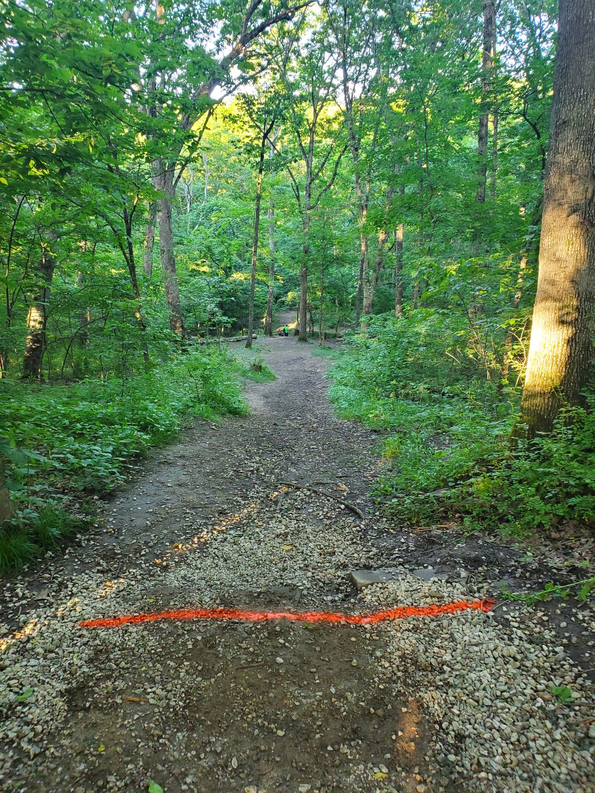 Hole 11 Short Tee Pad