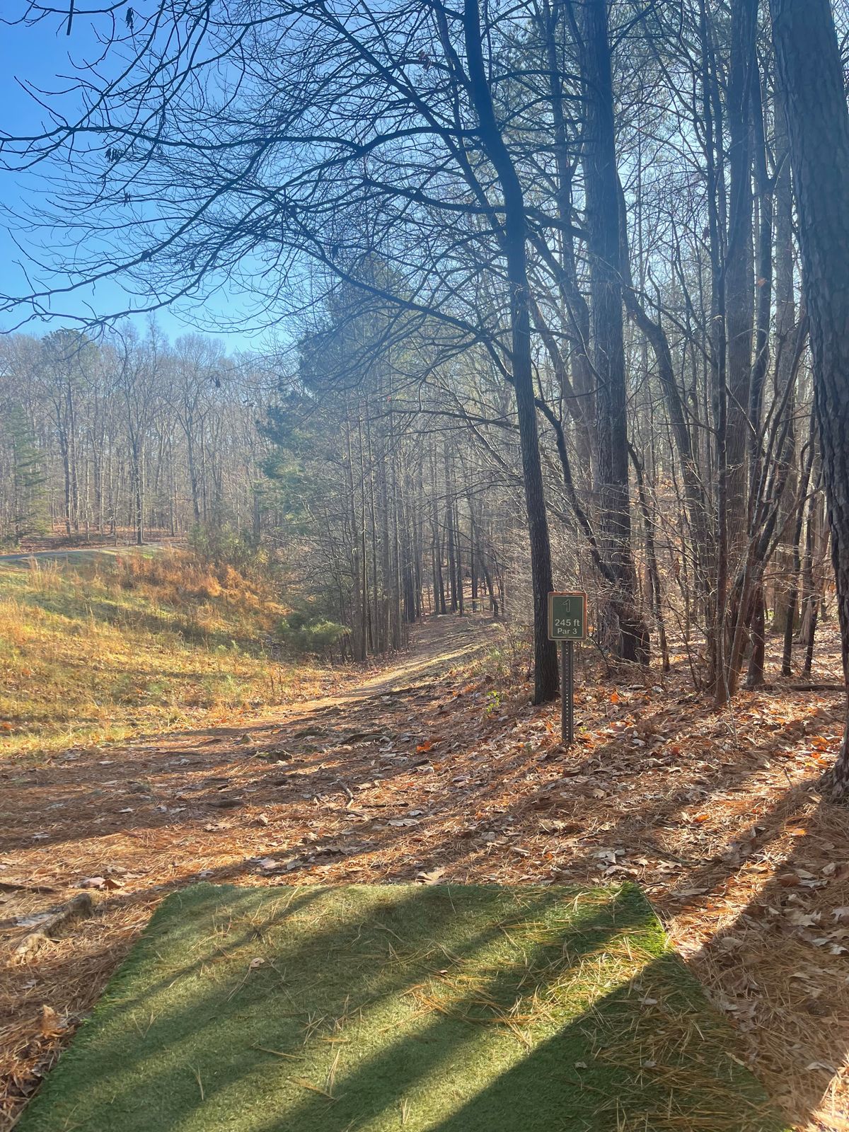 Hole 1 tee