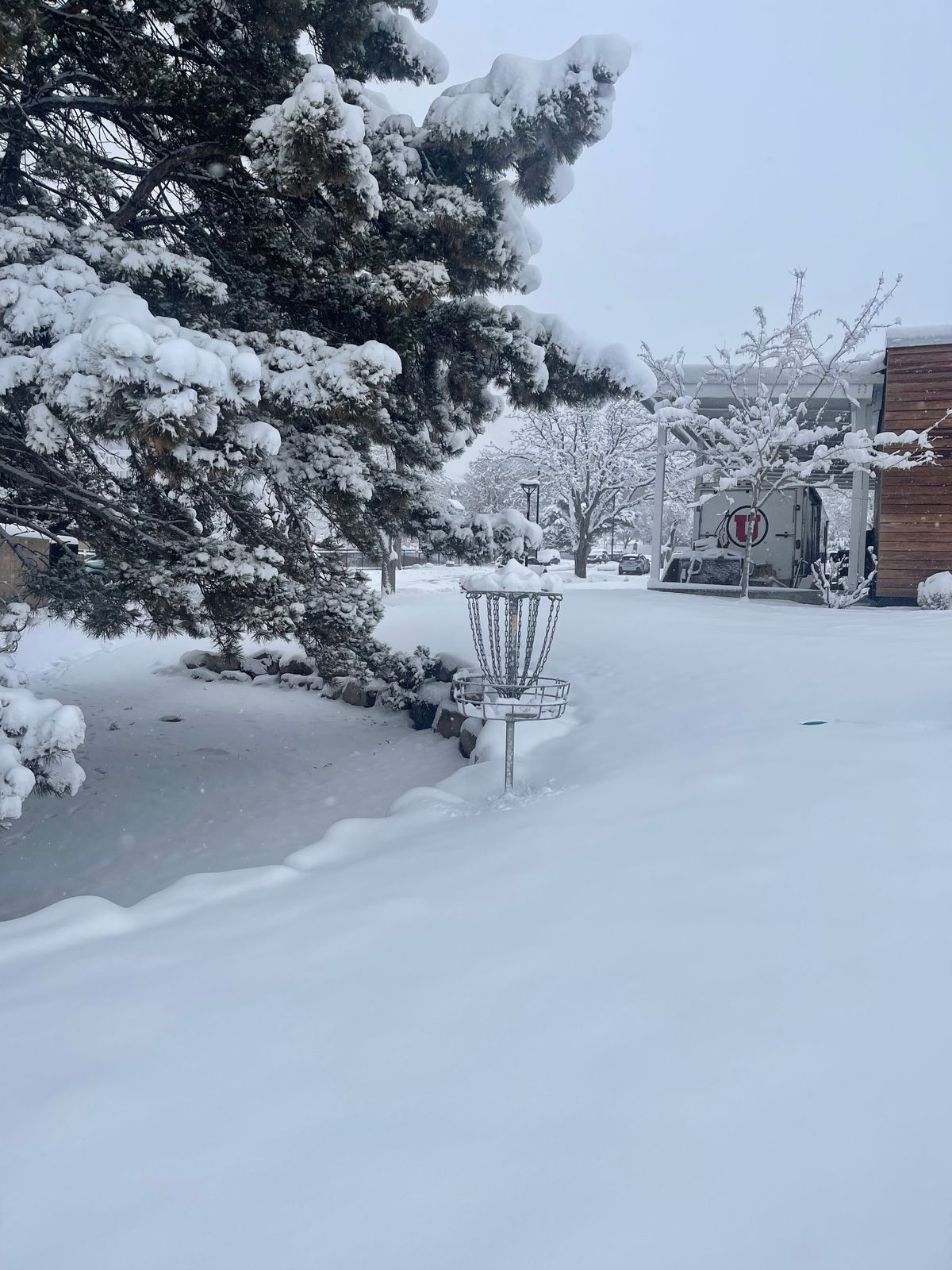 Winter rounds are quiet