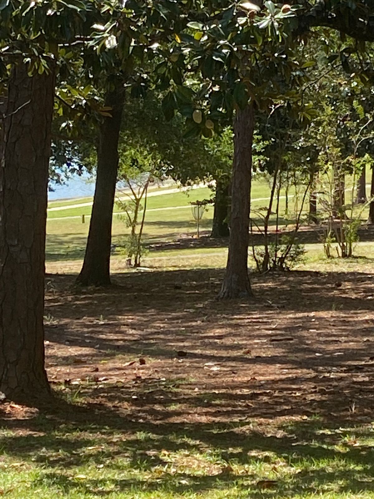 Hole 2
