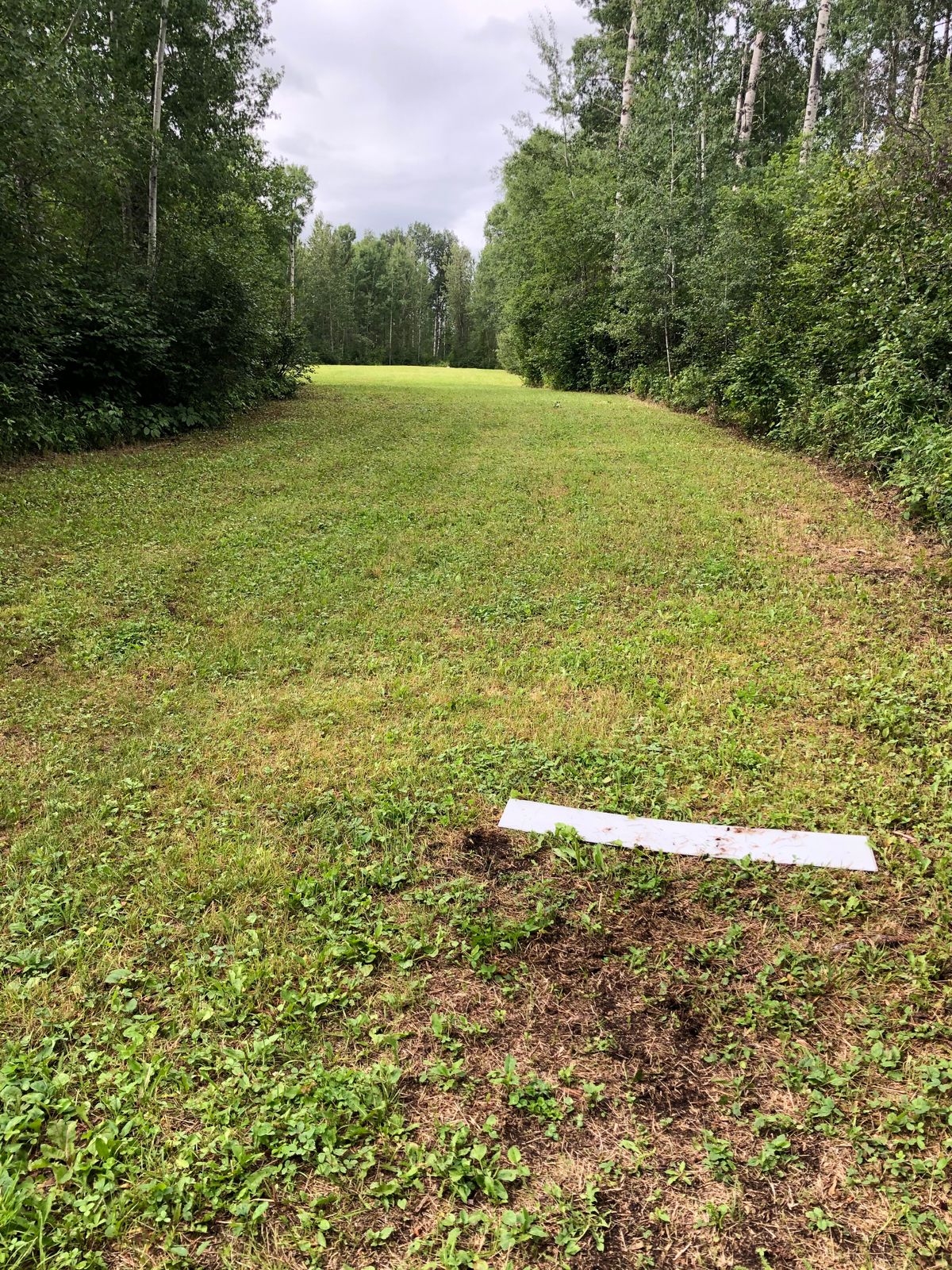 #8 tee on Action