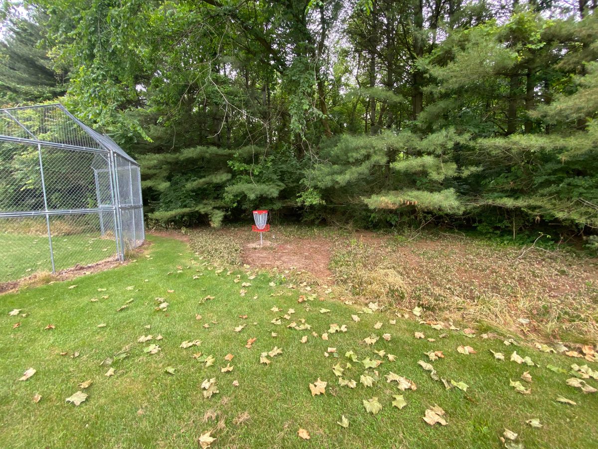 Hole 5 basket