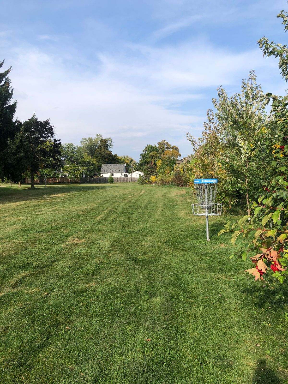 Reverse shot looking back on Hole #2. Lots of bushes and trees have grown in along the fairway.