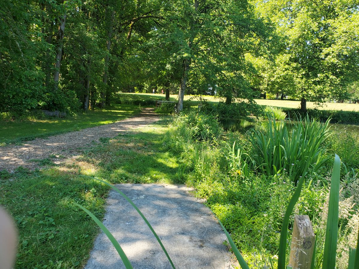 Hole 7