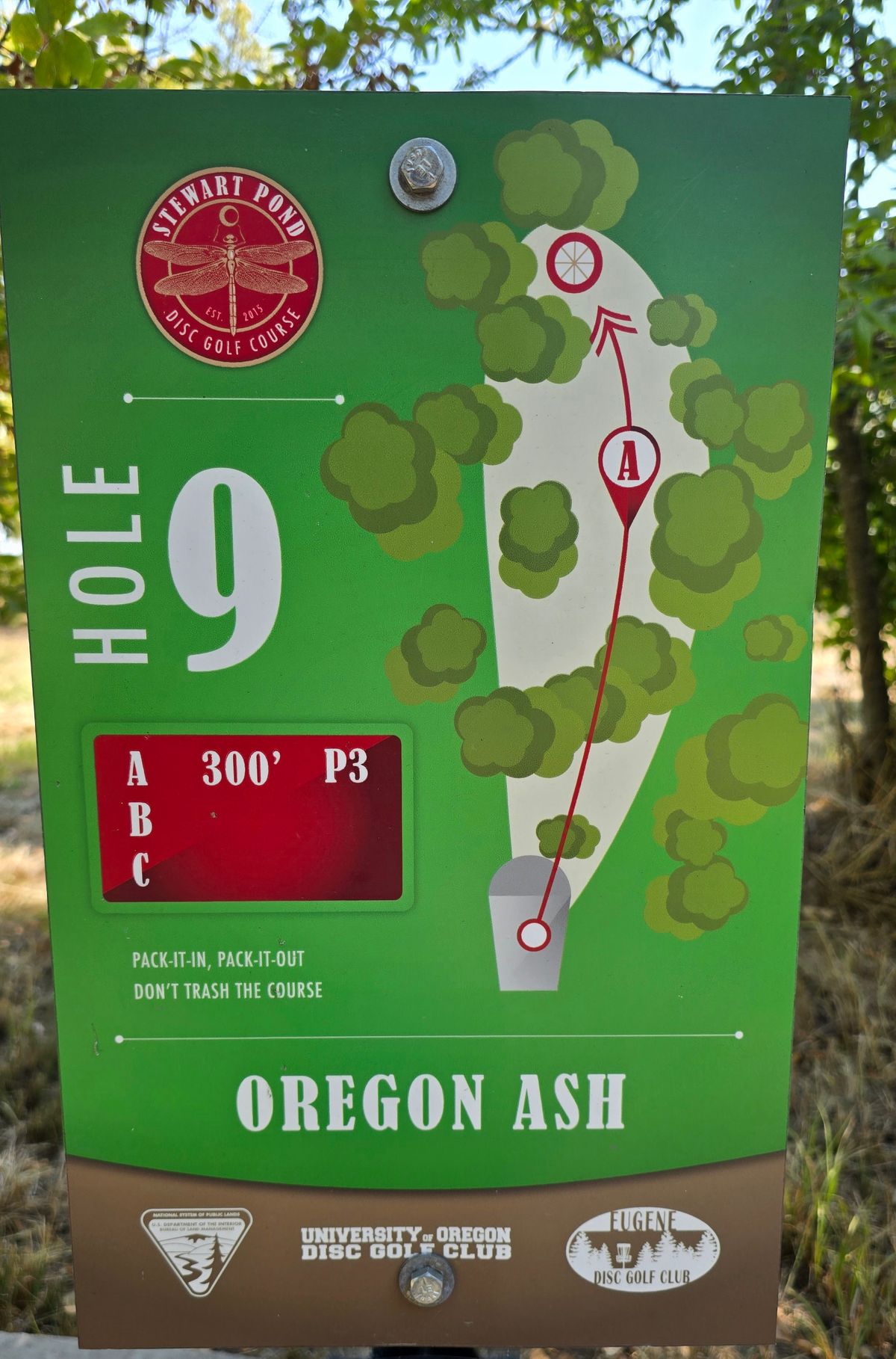 Hole 9