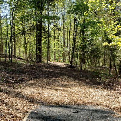 Hole 8