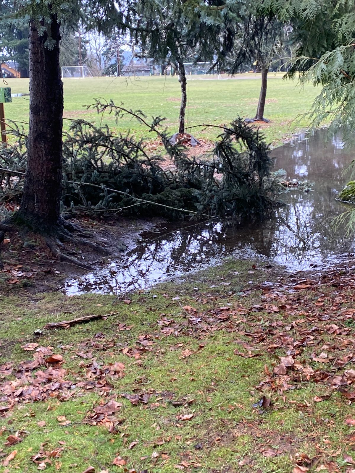 Hole 1