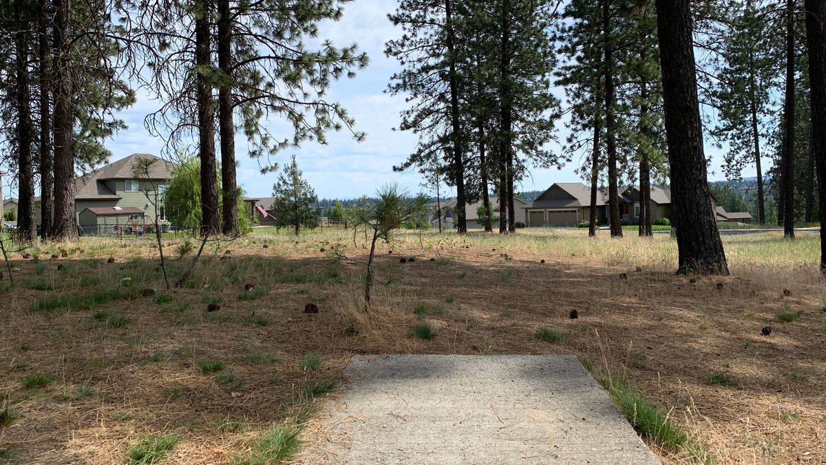 Hole 3