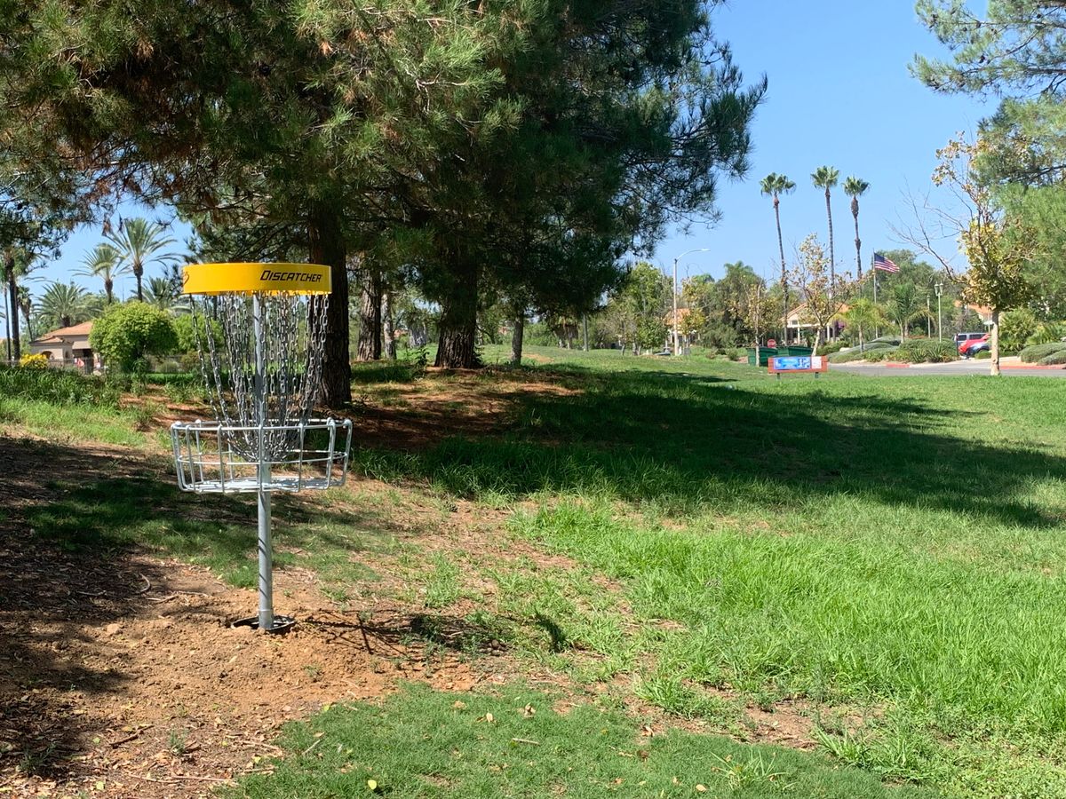 Omega Hole 1 Basket
