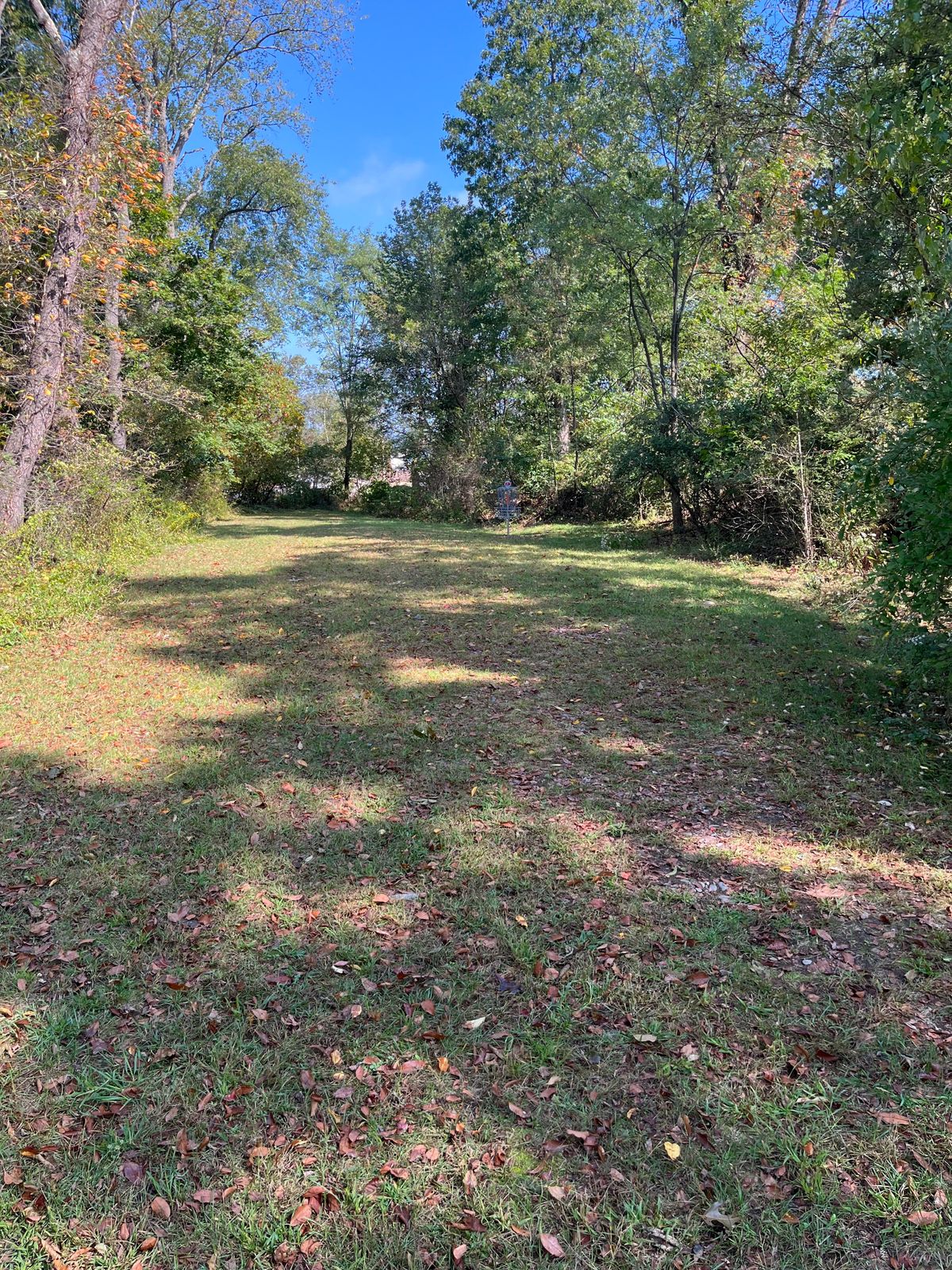 Hole 13 basket