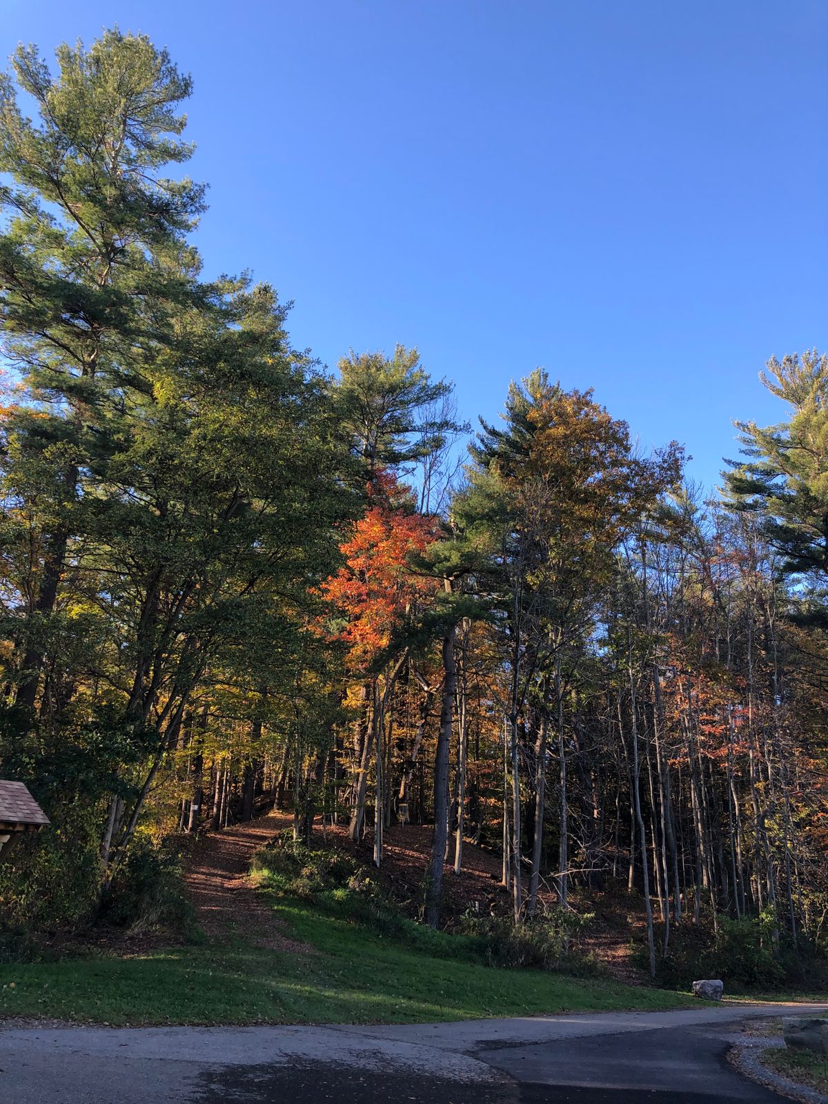 Hole #1 - Blue Tees
