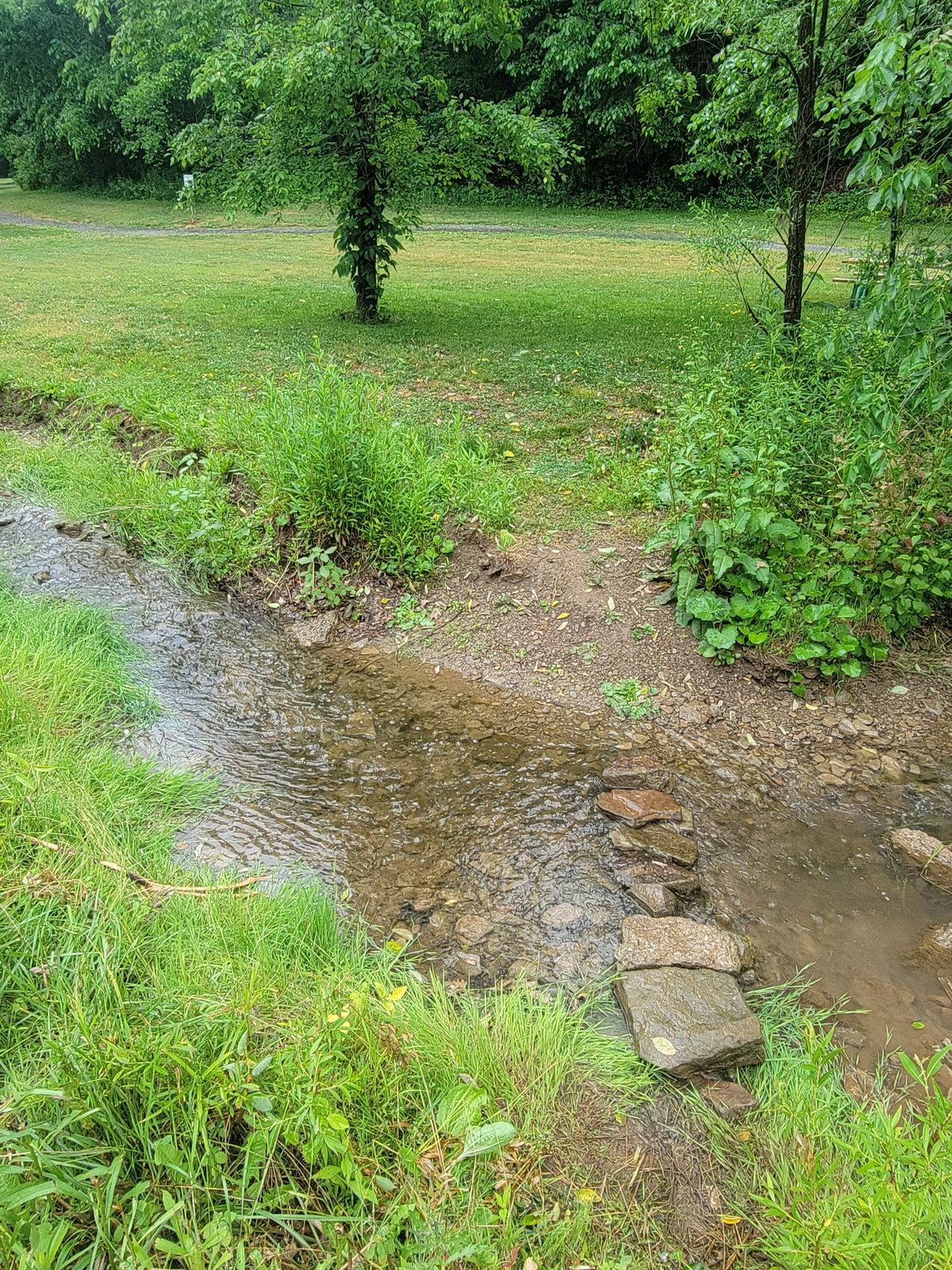 I built a small stone walkway across the creek between 5 and 6! Might be slippery be careful!