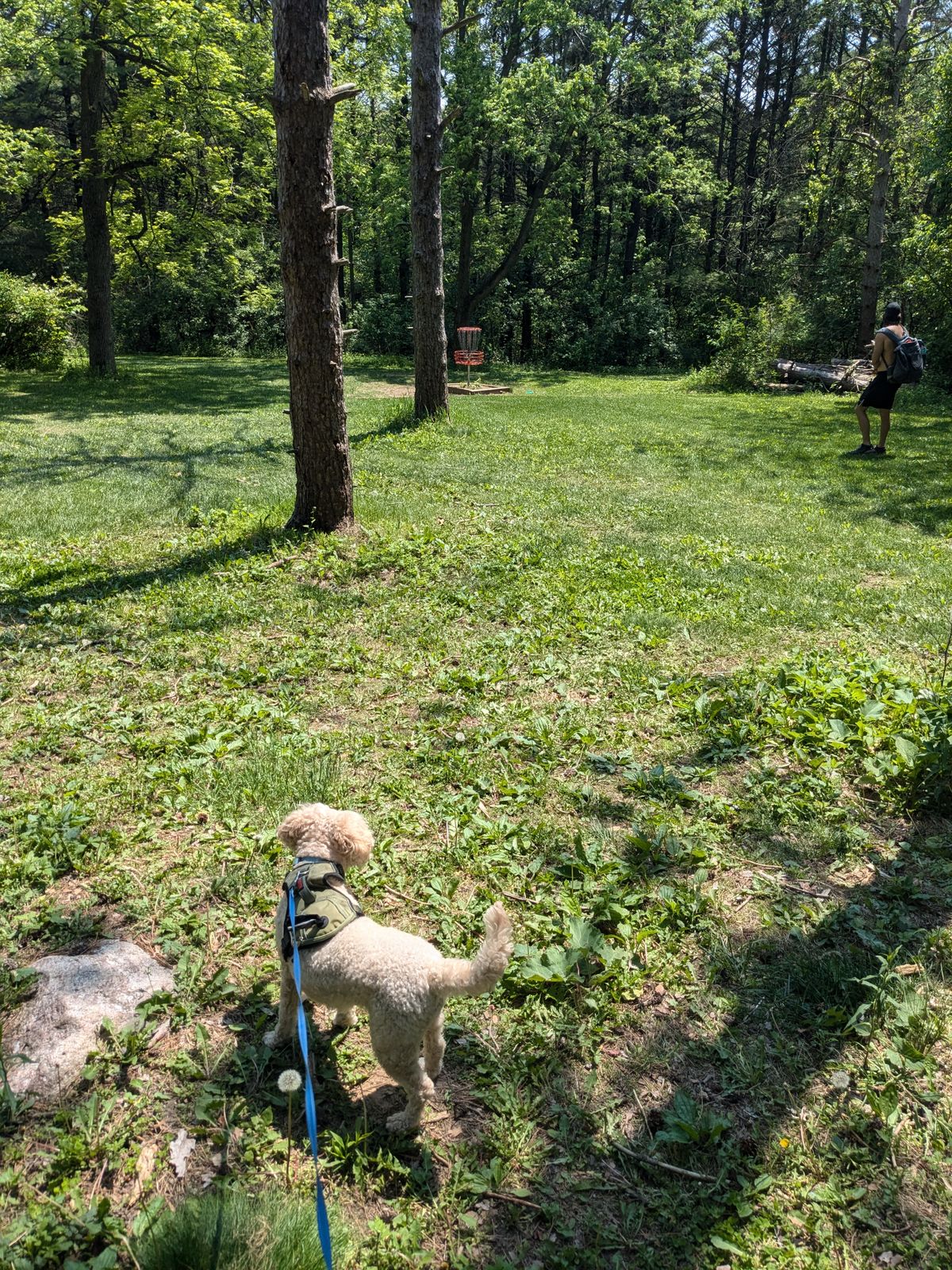 Hole #14