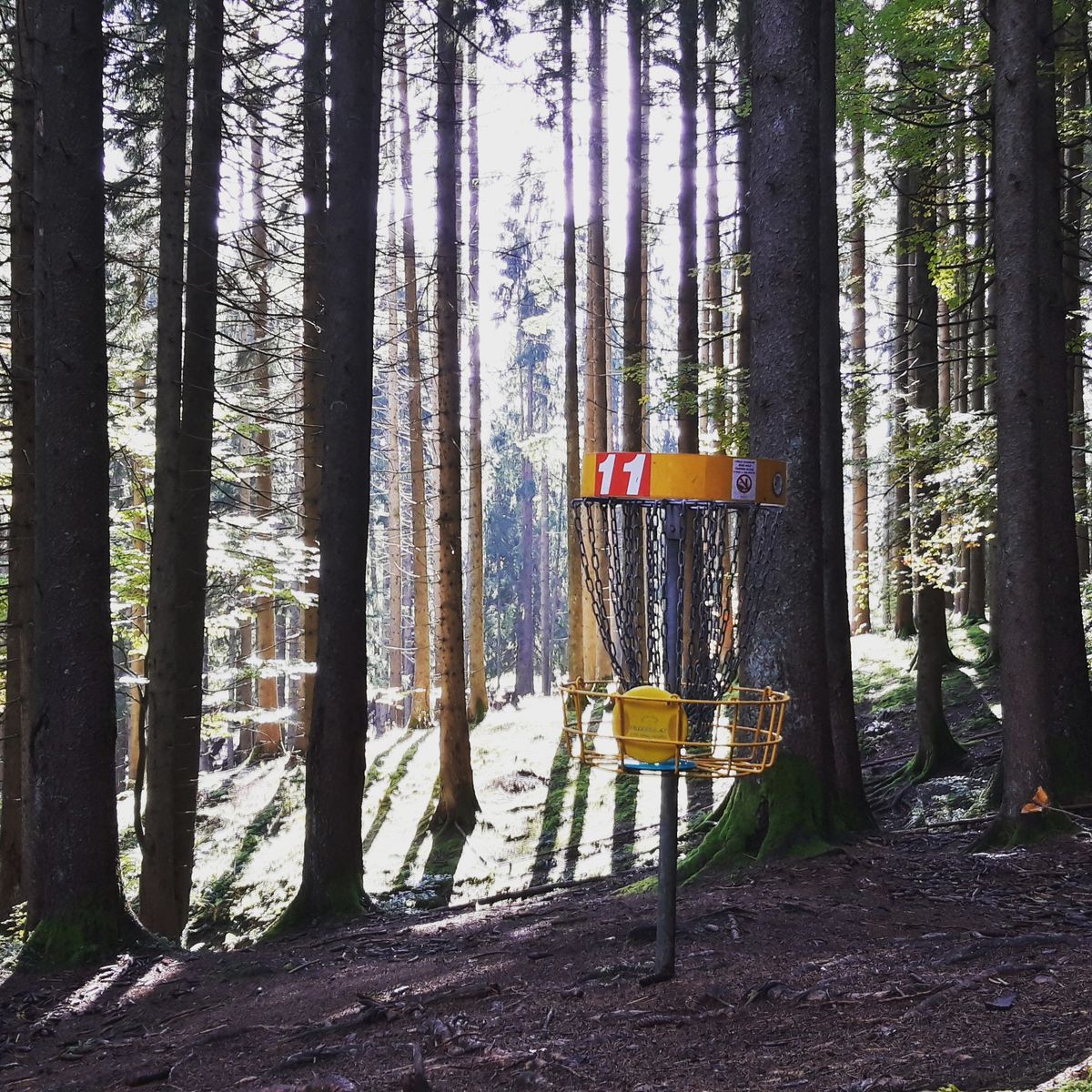 Short but technical forest holes