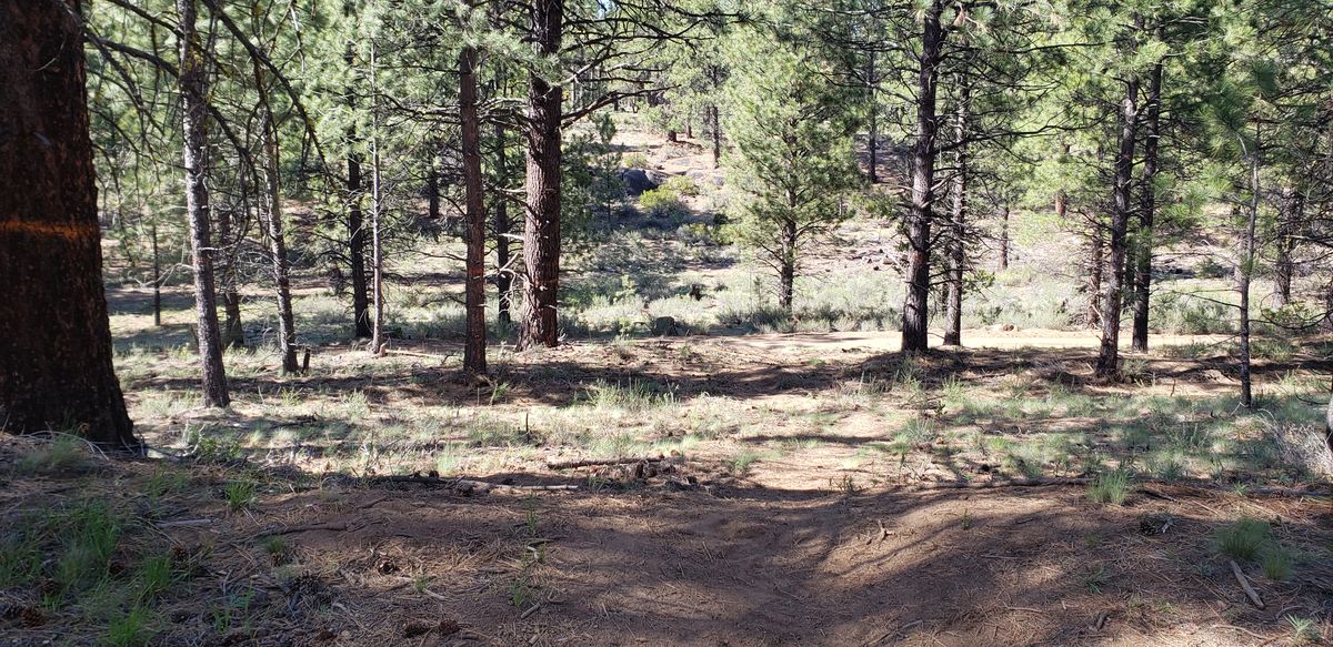 Hole 10. Valley shot towards the rocks.