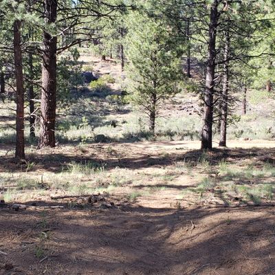 Hole 10. Valley shot towards the rocks.