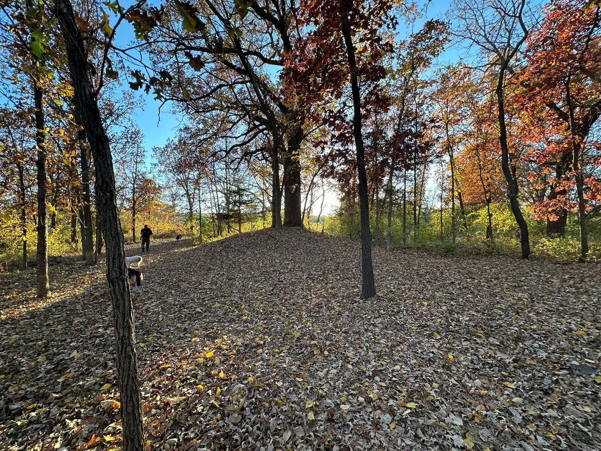 Hole11 elevated pin