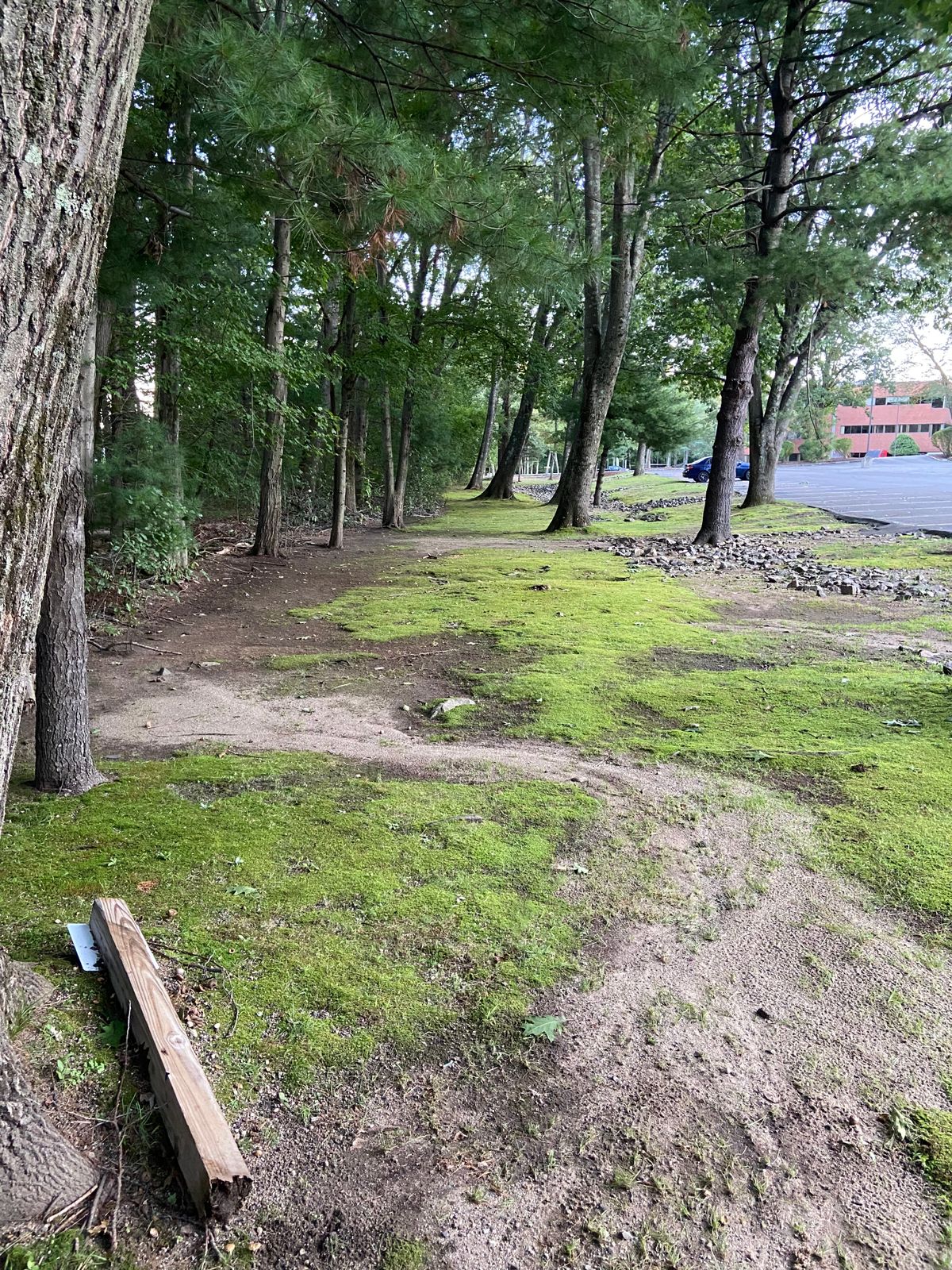 Hole 4