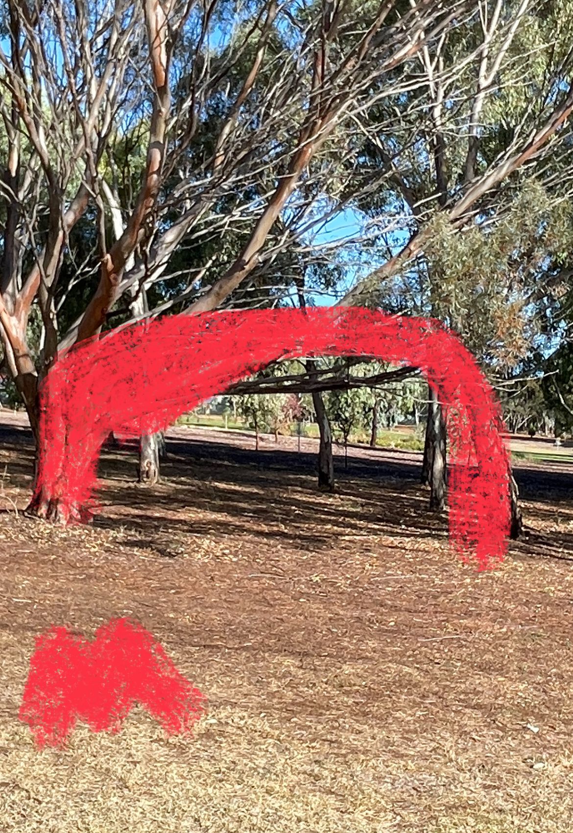Hole 18 mando tunnel
