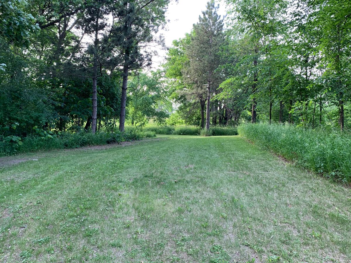 15 fairway