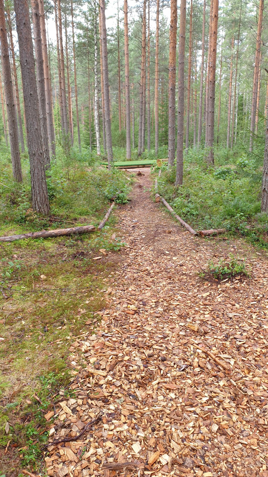 also the paths are nicely made
