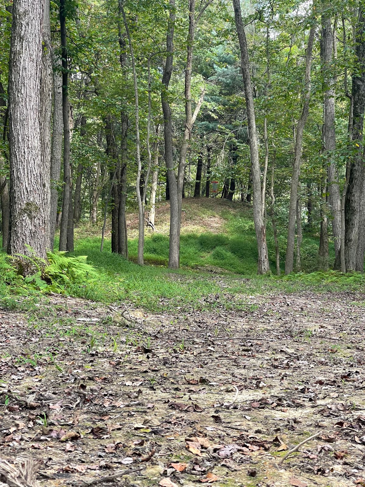Hole 3 Second shot look.