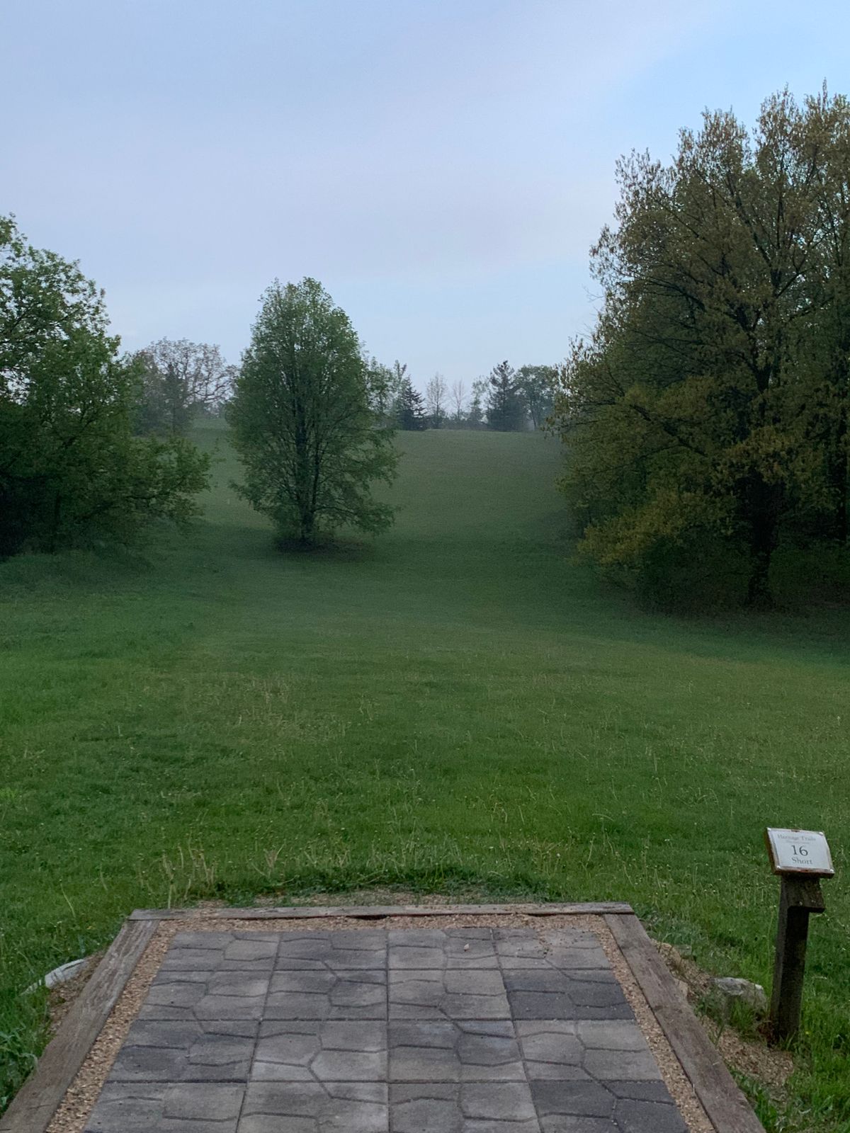 Hole 16 - Short