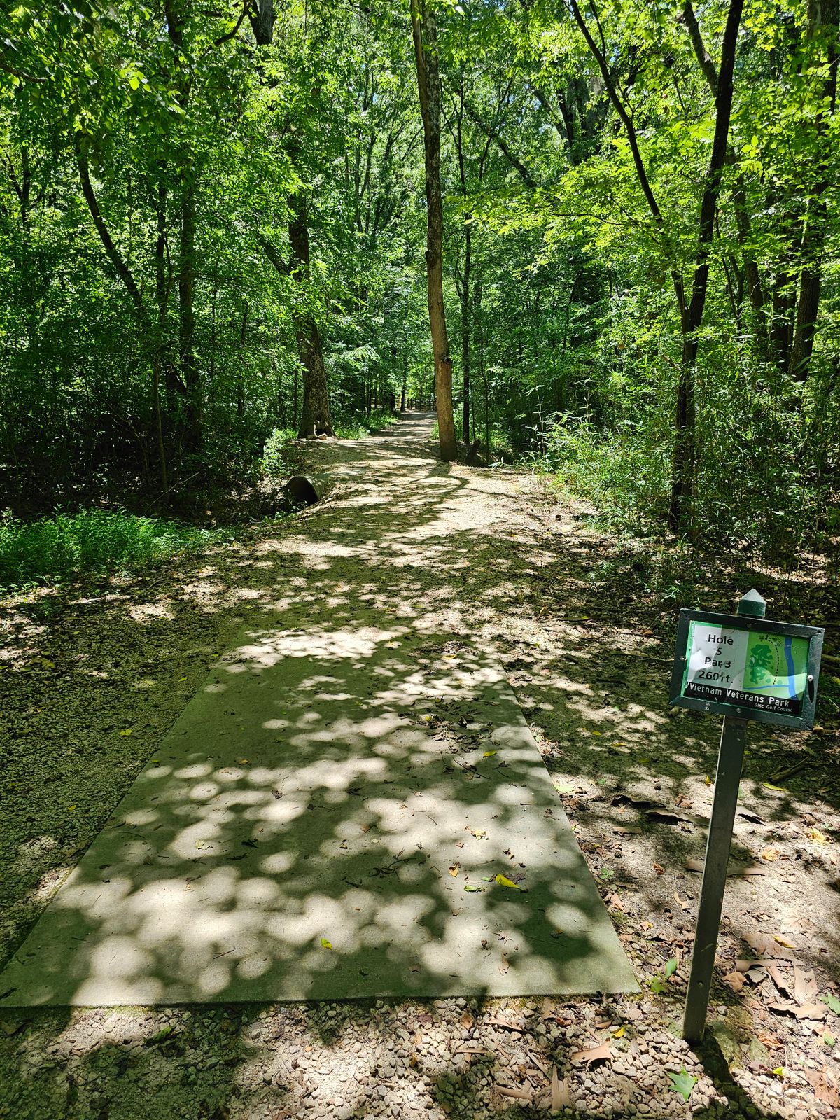 Hole 5