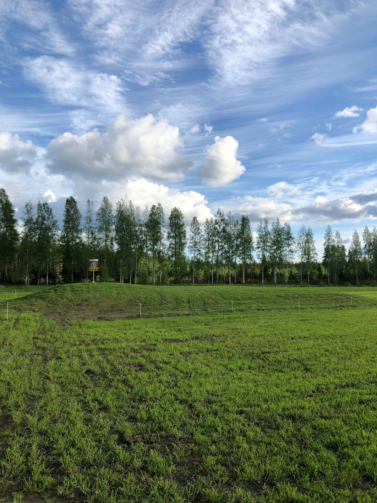 PRO/AMA 2024 väylä #18 - ”korin kumpu”