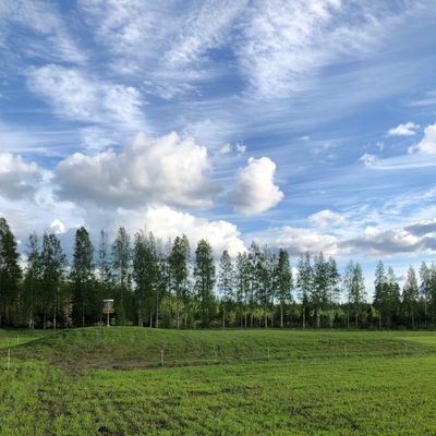 PRO/AMA 2024 väylä #18 - ”korin kumpu”