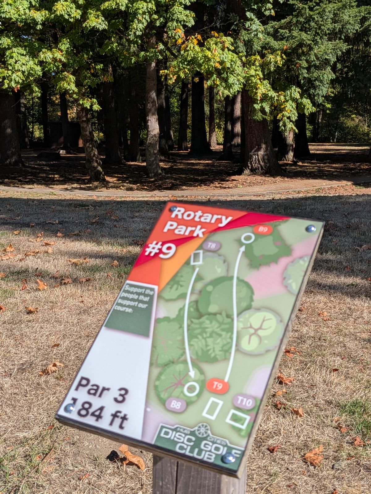 Tee 9