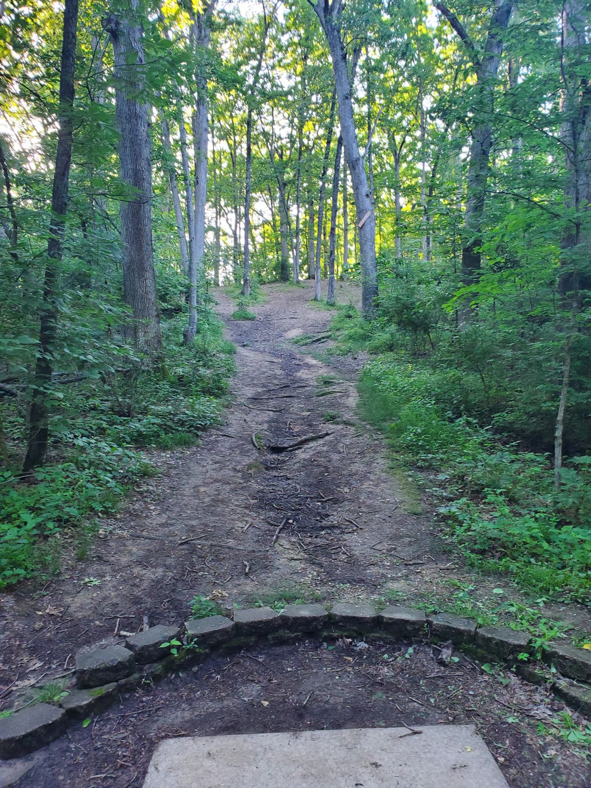 Hole 12 Short Tee Pad